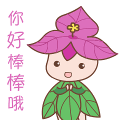 全运会开幕了今明两天,厦门五朵金花强势争金