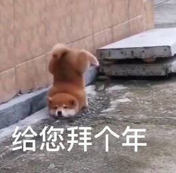 我发现千亿富翁马化腾讲话非常腼腆,原来我以为腼腆是失败的象征,彻底颠覆了我的世界观