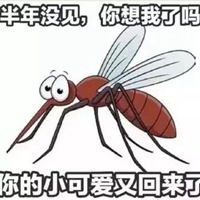 蚊子的表情包