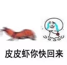皮皮虾突然爆红网络帝王蟹和蓝鳍金枪鱼表示不服
