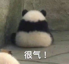 十条笑话这货是有多爱我啊