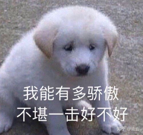 手机后置摄像头有必要贴膜吗
