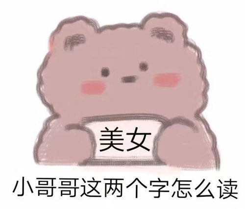 我的收藏夹