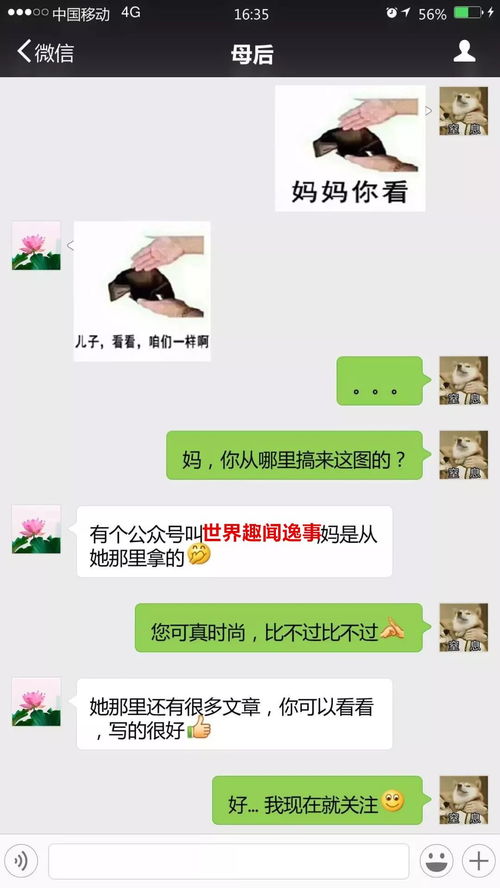 别人新年拿了多少红包看这个就知道