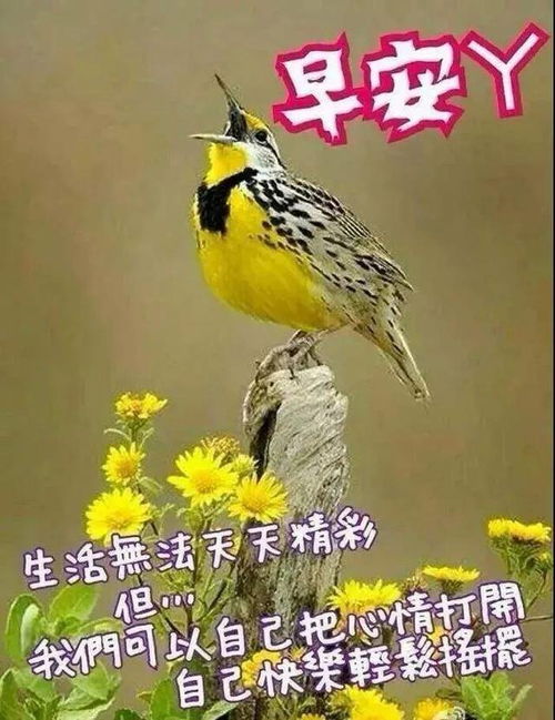 2021年最新版早上好表情图片动态特别漂亮早上好问候语图片带字