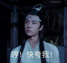 忘羡表情包醉酒