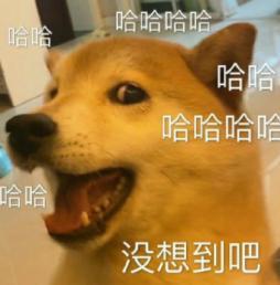 斗鱼户外主播矛盾爆发起冲突互爆黑料,称别惹我