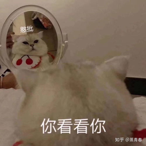 为什么这么多人讨厌郑爽
