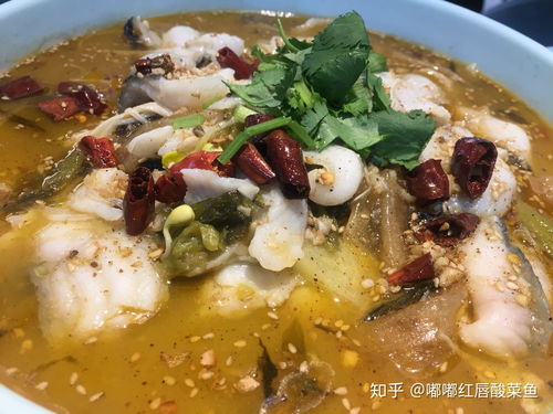 嘟嘟红唇酸菜鱼是如何吸引消费者的