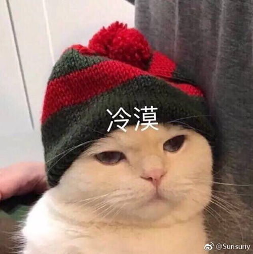 有没有面试的时候想拍桌走人的经历