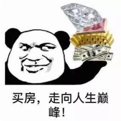 熊猫头炫富表情包