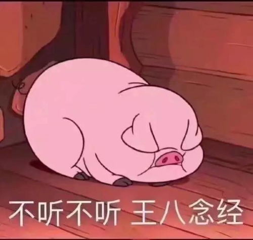 同学,这里有一份实习通知书,请你查收