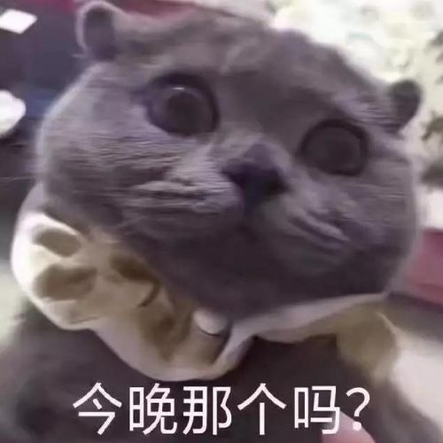 孩子