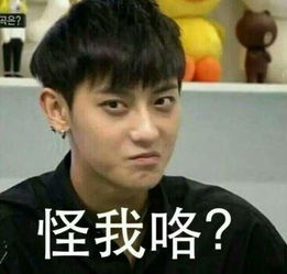 吴亦凡张艺兴鹿晗黄子韬,exo四子归国发展,最后不敌表情包