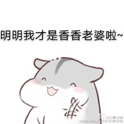 老公版仓鼠表情包
