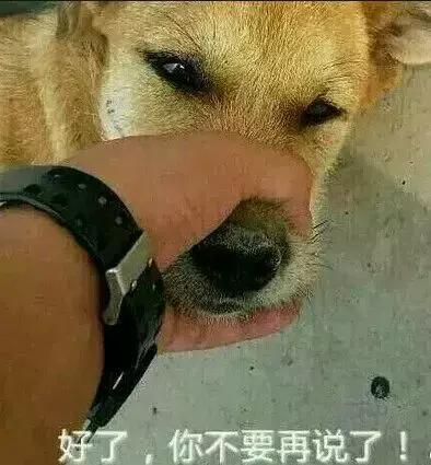 无话可说表情包搞笑警犬
