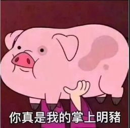 深圳也已悄悄进入智能垃圾分类时代这些干货马上收藏