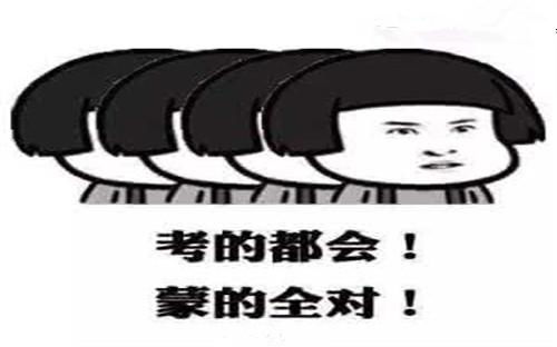 解放了图片表情包高考
