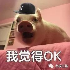 名师团巡礼你和港大港科大爱豆之间的距离可能只差一个名校工坊