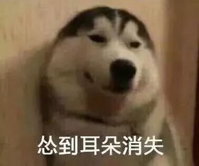 表情包抖音很火的满屏爱心表情