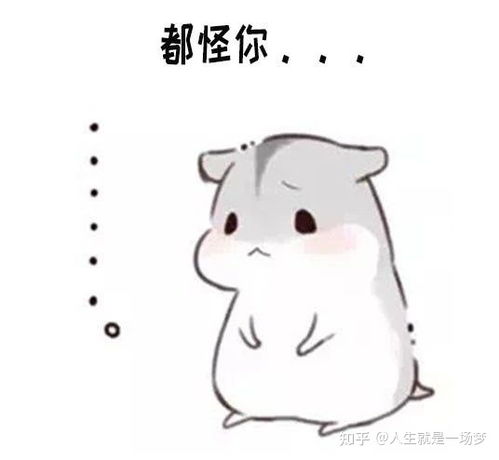 仓鼠表情包男生最讨厌女生说的几句话仓鼠表情包