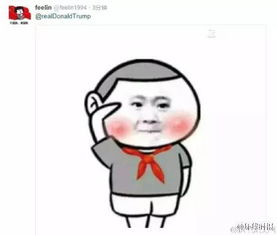 原创川普twitter治国,网友只能大送表情包还击了