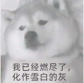 哔哩哔哩专栏
