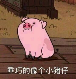 我的40天实习日志2017.10.16