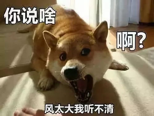 燕郊楼市跌回解放前二手房均价破两万银行理财不能宣传预期收益率