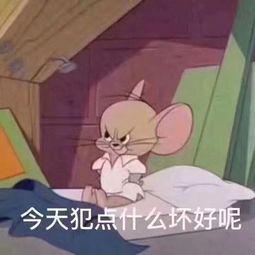 你有哪些一秒变开心的表情包