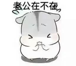 谁有那个老公在吗的表情包