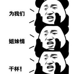 宿舍生存指南