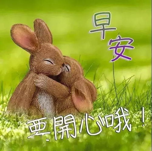 一起享受阳光,对今天充满希望,一起开拓自己的梦想,祝早晨快乐