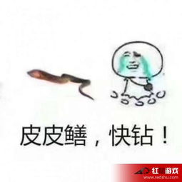 黄鳝表情包无水印麻椒