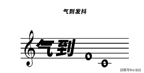 小音圈音乐老师专属表情包哈哈哈哈哈哈哈哈哈