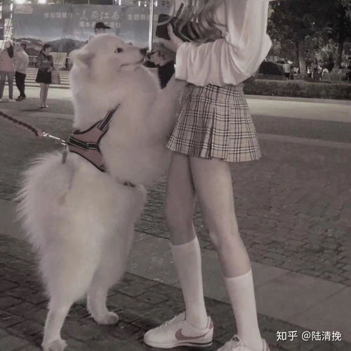 长腿萌妹表情包姓马