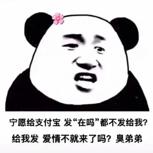 幽默搞笑表情包别说了,小肥猪