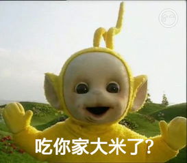 发几张斗图用的图片