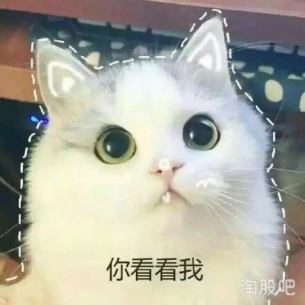 对于一个懒鬼,除了蒙还有什么别的办法