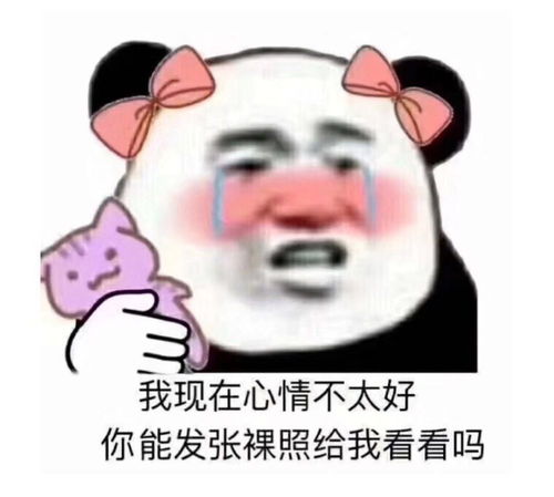 请签收今日份的沙雕表情包