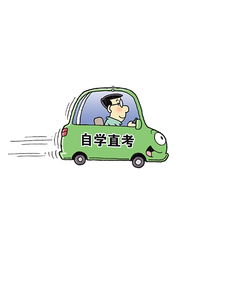 学车明年或可不去驾校了手机新浪网