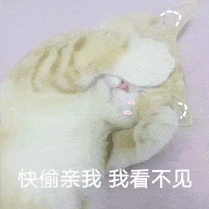 热门表情包今晚...安排一下吗