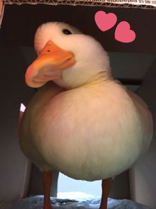 这个奇特的女人,让我涨姿势了