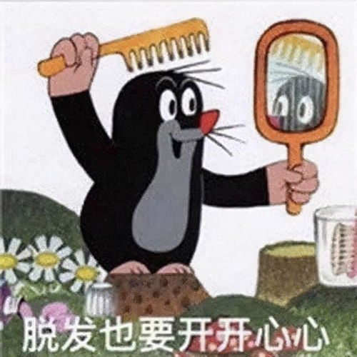 王八家族表情包图片大全脱发