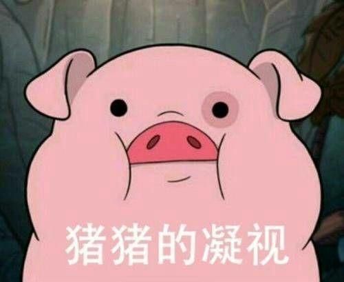 刘阿圆抱着猪的表情包饥荒