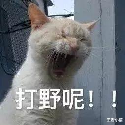 王者荣耀数据不互通的微信区和qq区,区别在哪里