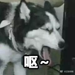 抖音正在毁掉了你生活