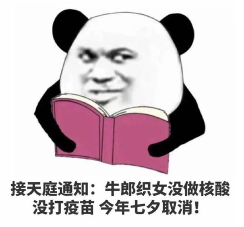 舔狗日记,舔狗的世界有多惨