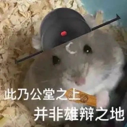 表情包沙雕系列你也有猫饼么