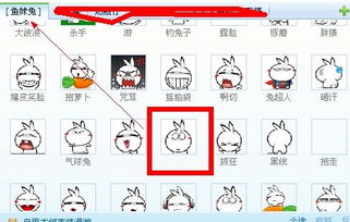 这只兔子叫什么啊脸上有两点红的兔子表情